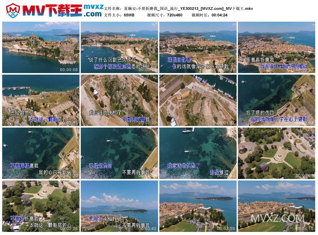 夏婉安-不要折磨我_国语_流行_YE300213